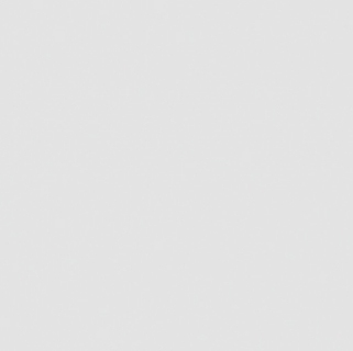 Laqué Mat_ Blanc SW LO74