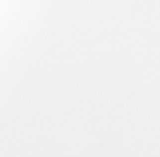 Laqué brillant_ Blanc LL02