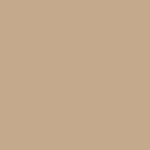 Shiny lacquered lino RAL 070 70 20