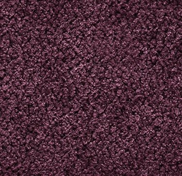 Cat. B_Perky Amaranth 020