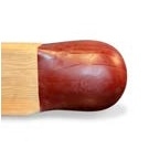 CE(D)RINO_ Red