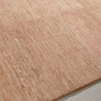 Collective Plain_ Peach