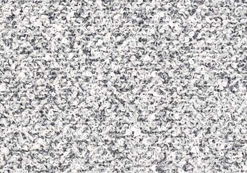 Moss_ MS008