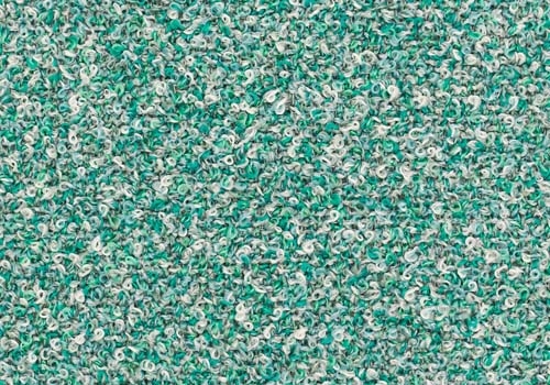 Moss_ MS020