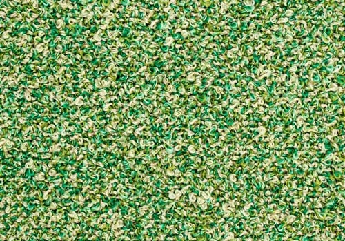Moss_ MS024
