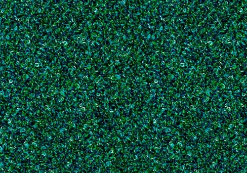 Moss_ MS032