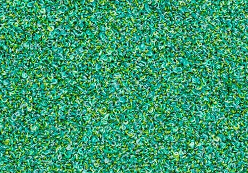 Moss_ MS034