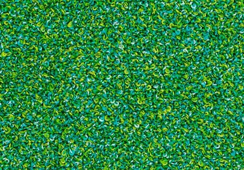 Moss_ MS035