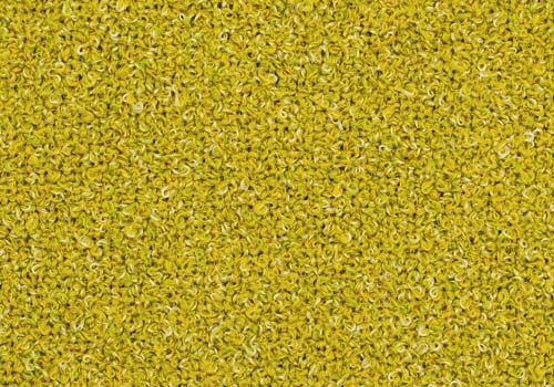Moss_ MS043