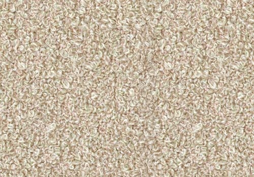 Moss_ MS044