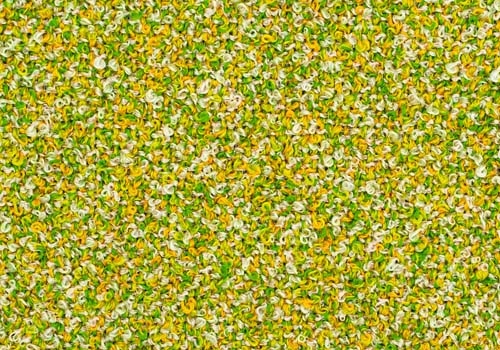 Moss_ MS045