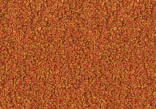 Moss_ MS058