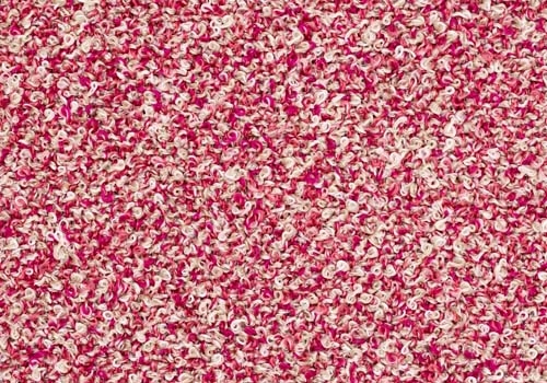 Moss_ MS070