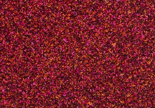 Moss_ MS088