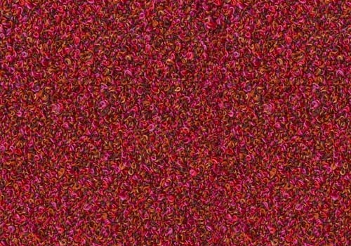 Moss_ MS089