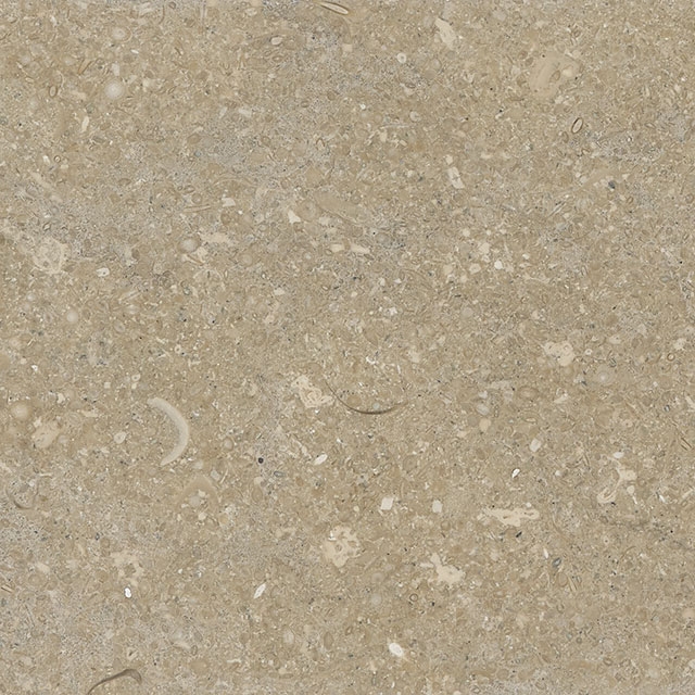 Fossil Green Marble