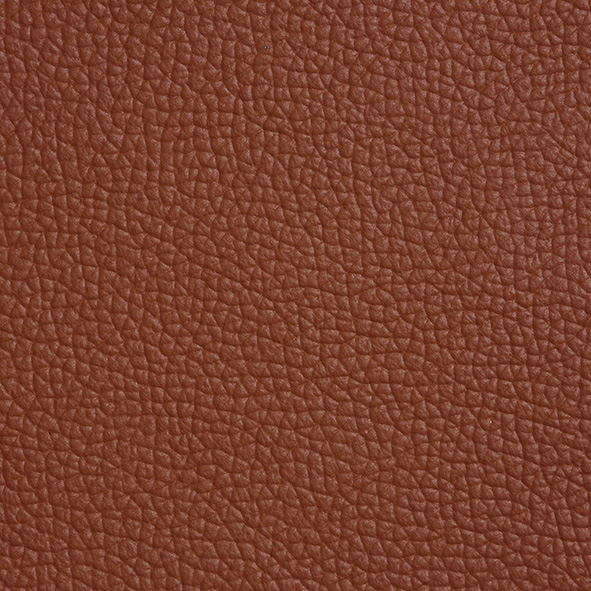 Cuir_ 994 Canyon