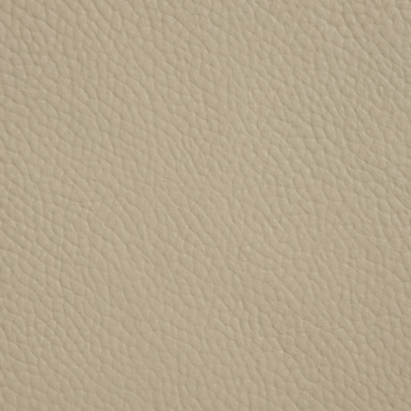 Cuir_ 969 Cashmere