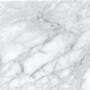 Polished Veined Arabescato Marble