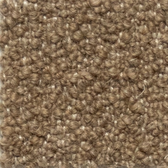 Cat. 40_ Quantum_ 40507
