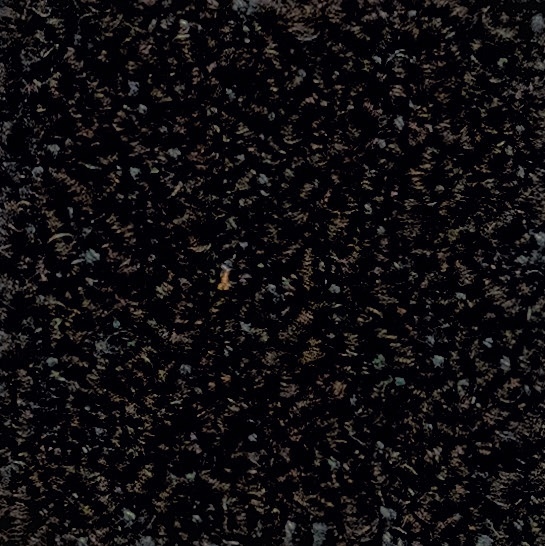 Cat. 40_ Quantum_ 40516