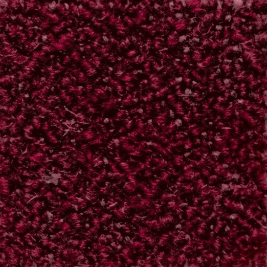 Cat. 40_ Quantum_ 40520