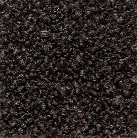 Cat. 40_ Quantum_ 40538