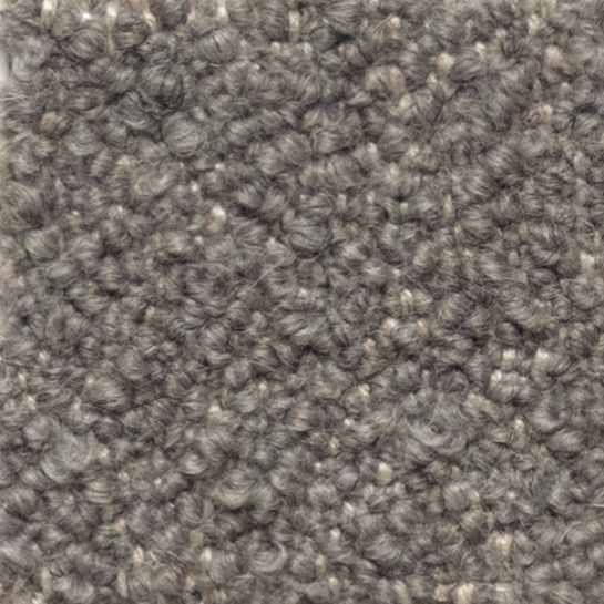 Cat. 40_ Quantum_ 40553