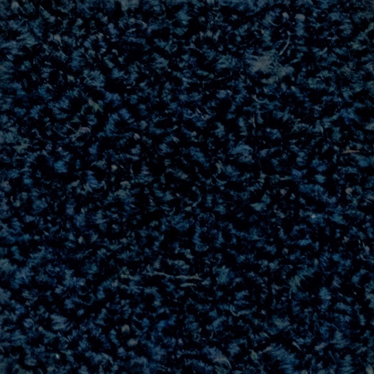 Cat. 40_ Quantum_ 40556