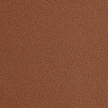Leather_ Tumbleweed 362