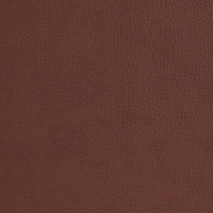 Leather_ Kobicha 363