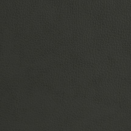 Leather_ Midori 365