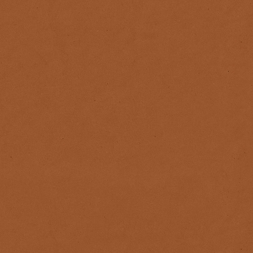 Cat. Y_ Cuir Natural_ 05 Cognac