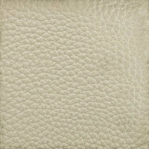 Cat. X_ Pelle Deep_ 01 Crema