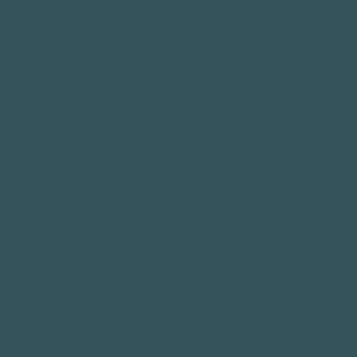 34 Sarcelle Rugueuse