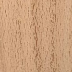 Wood_ TR01 Transparent