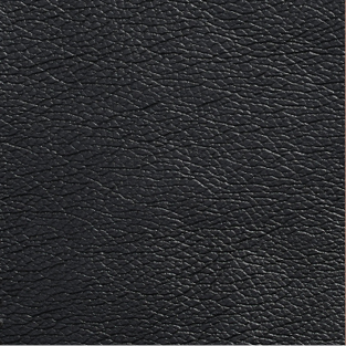 Leather_ PL01 Black