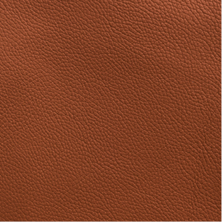 Leather_ PL02 Cognac