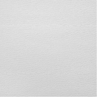 Leather_ PL03 White