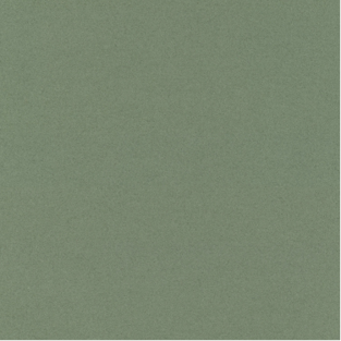 Virgin Wool_ KV03 856