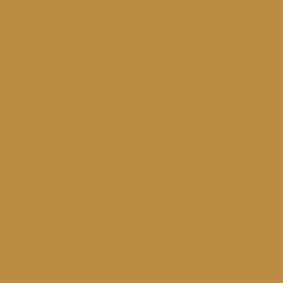 04/29 Glänzend gold