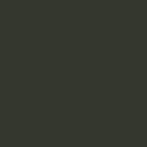 Brown green RAL 6008