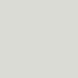 Grey white RAL 9002
