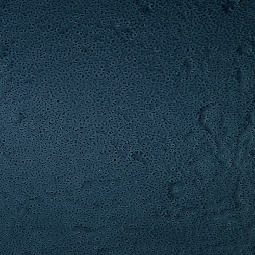 Hartglas Blau