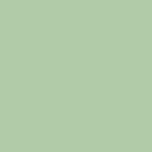 4N opaque fennel green