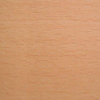 TP 17 Faggio naturale