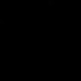 Laqué brillant_ Noir 10