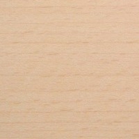 Buche gebeizt 1_ TP 107 Brightened