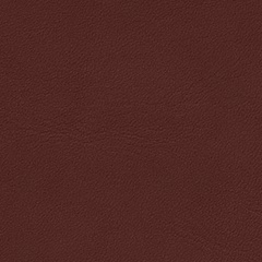 Standard Leather_ Elegant_ 20193 Indian Red