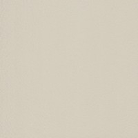 Pelle Frau® SC 21 Amianto